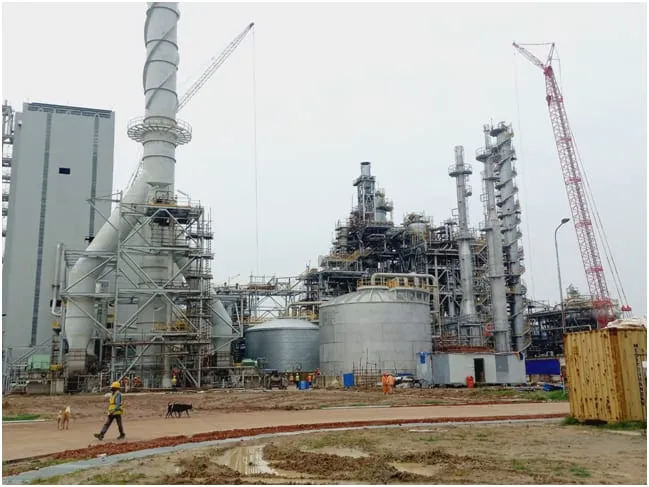 Process plant with cranes and storage tanks